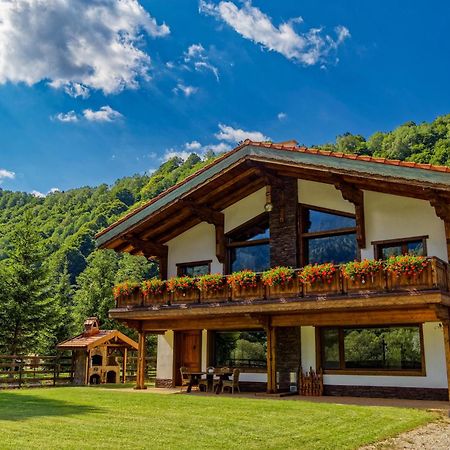 Avalanche Plaiul Foii Villa Zărneşti Bagian luar foto