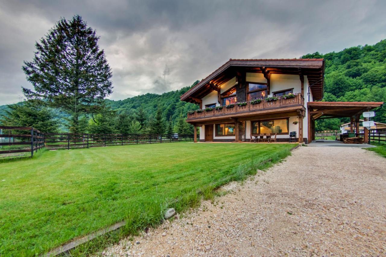 Avalanche Plaiul Foii Villa Zărneşti Bagian luar foto